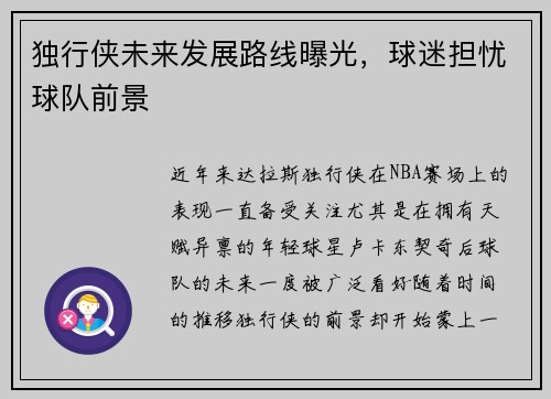 独行侠未来发展路线曝光，球迷担忧球队前景